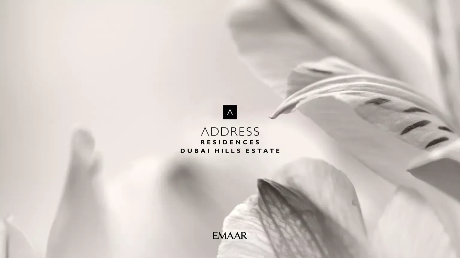 ADDRESS_DHE_BROCHURE (1)-1